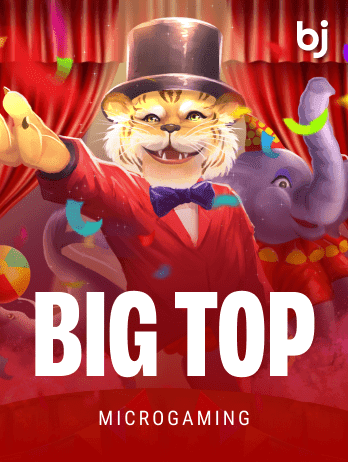 বিগ টপ game icon